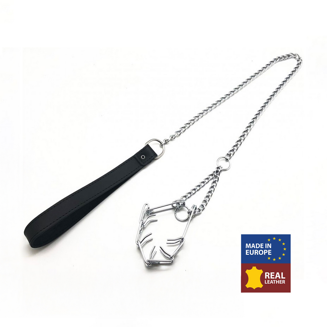 Leash with Choker for Penis - Black/Silver