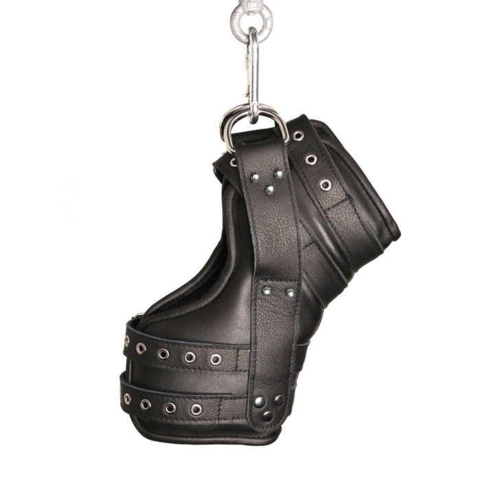 RL-29479-5.png