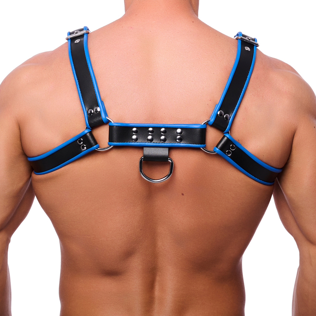 Premium Leather Harness - S/M - Black/Blue 2